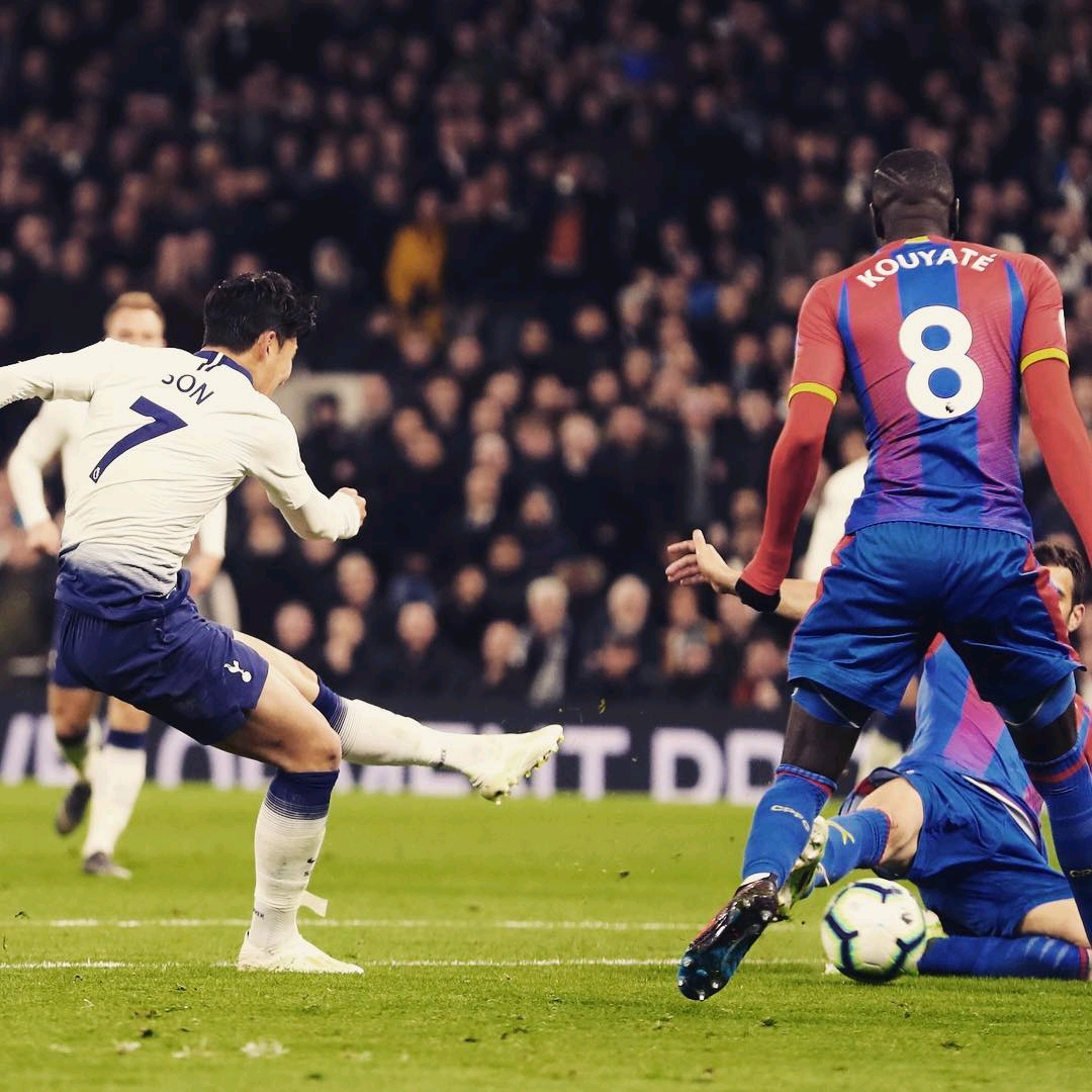 萄牙的雷纳 萄牙的雷纳