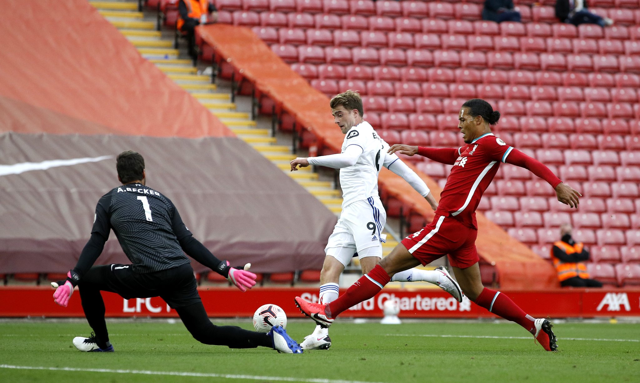在看过陈雨 在看过陈雨